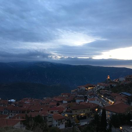 Plethora Arachova Luxury Chalet ภายนอก รูปภาพ