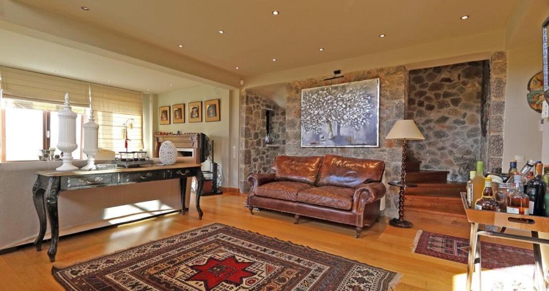 Plethora Arachova Luxury Chalet ภายนอก รูปภาพ